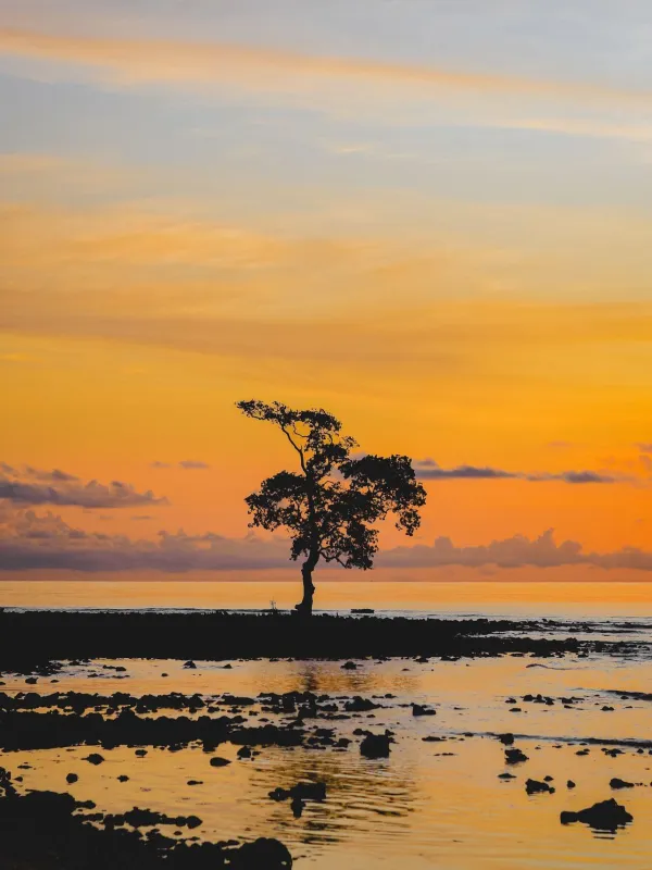 west-sulawesi