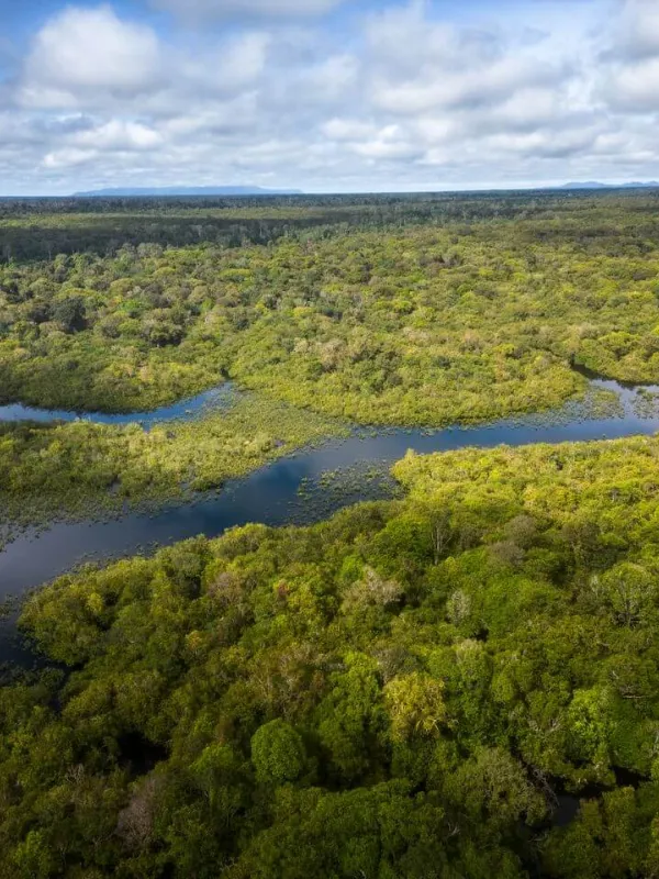 kalimantan-tengah