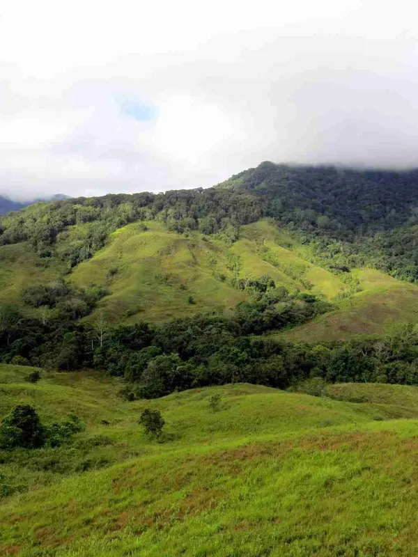kalimantan-utara