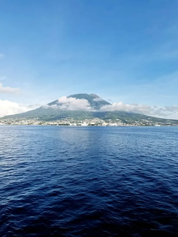 ternate