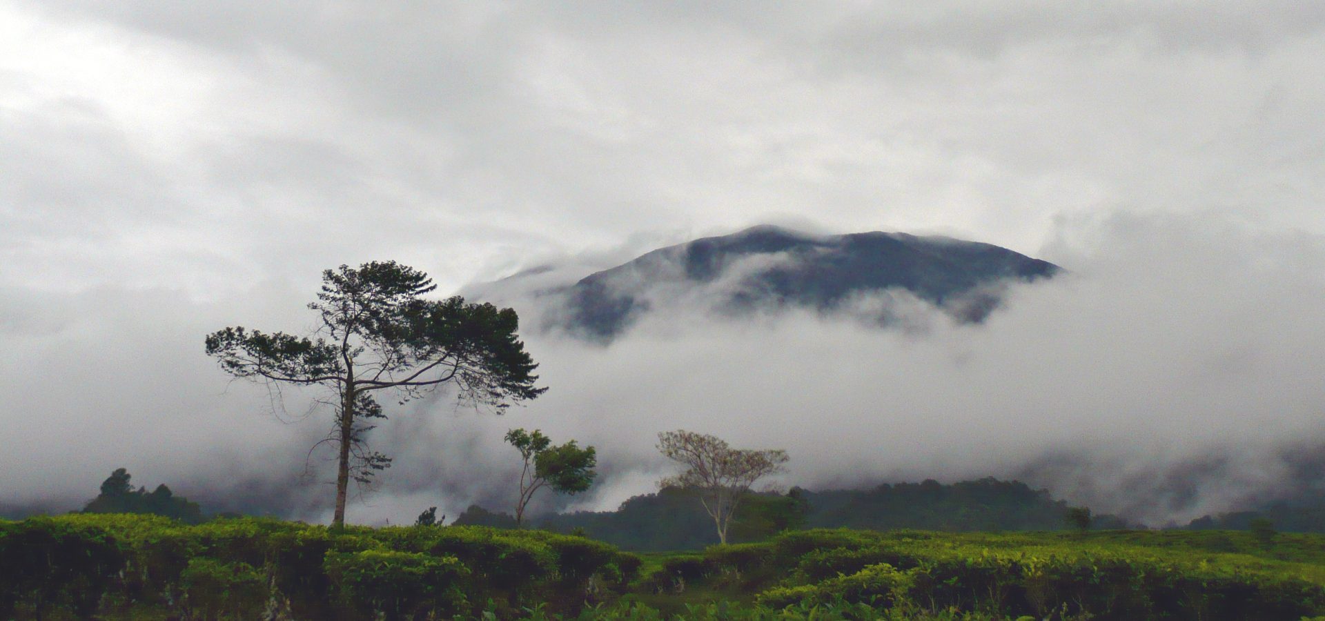 Gunung Gede Pangrango