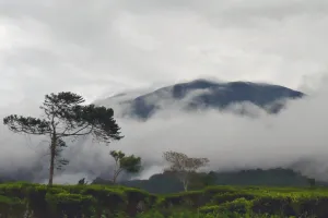 Gunung Gede Pangrango