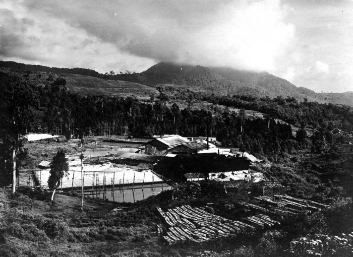 Gunung Patuha
