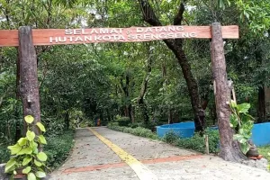 Hutan Kota Srengseng