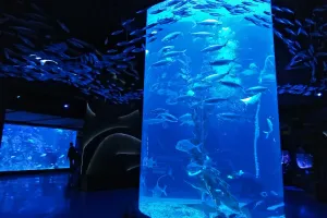 Jakarta Aquarium
