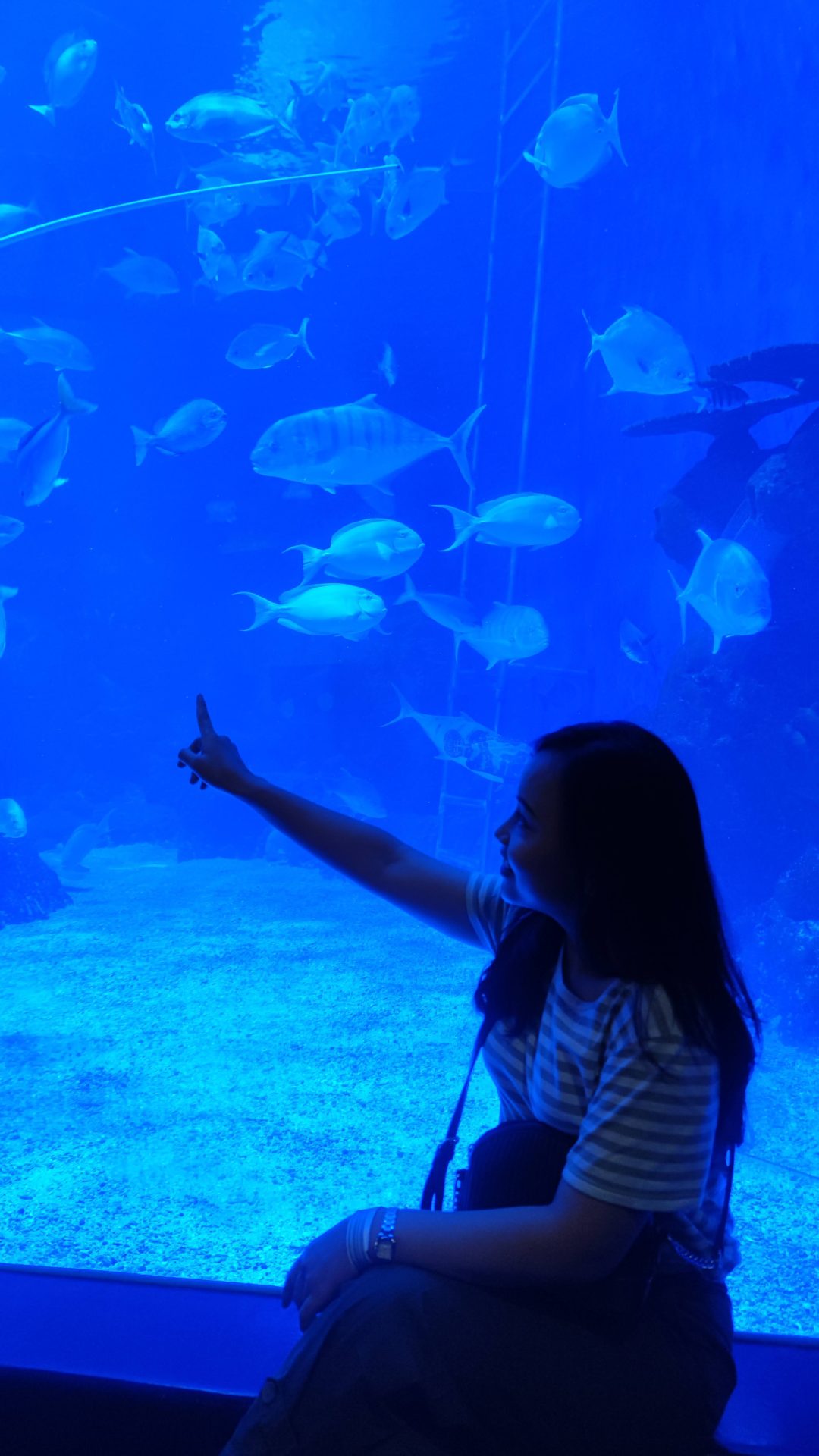 Jakarta Aquarium