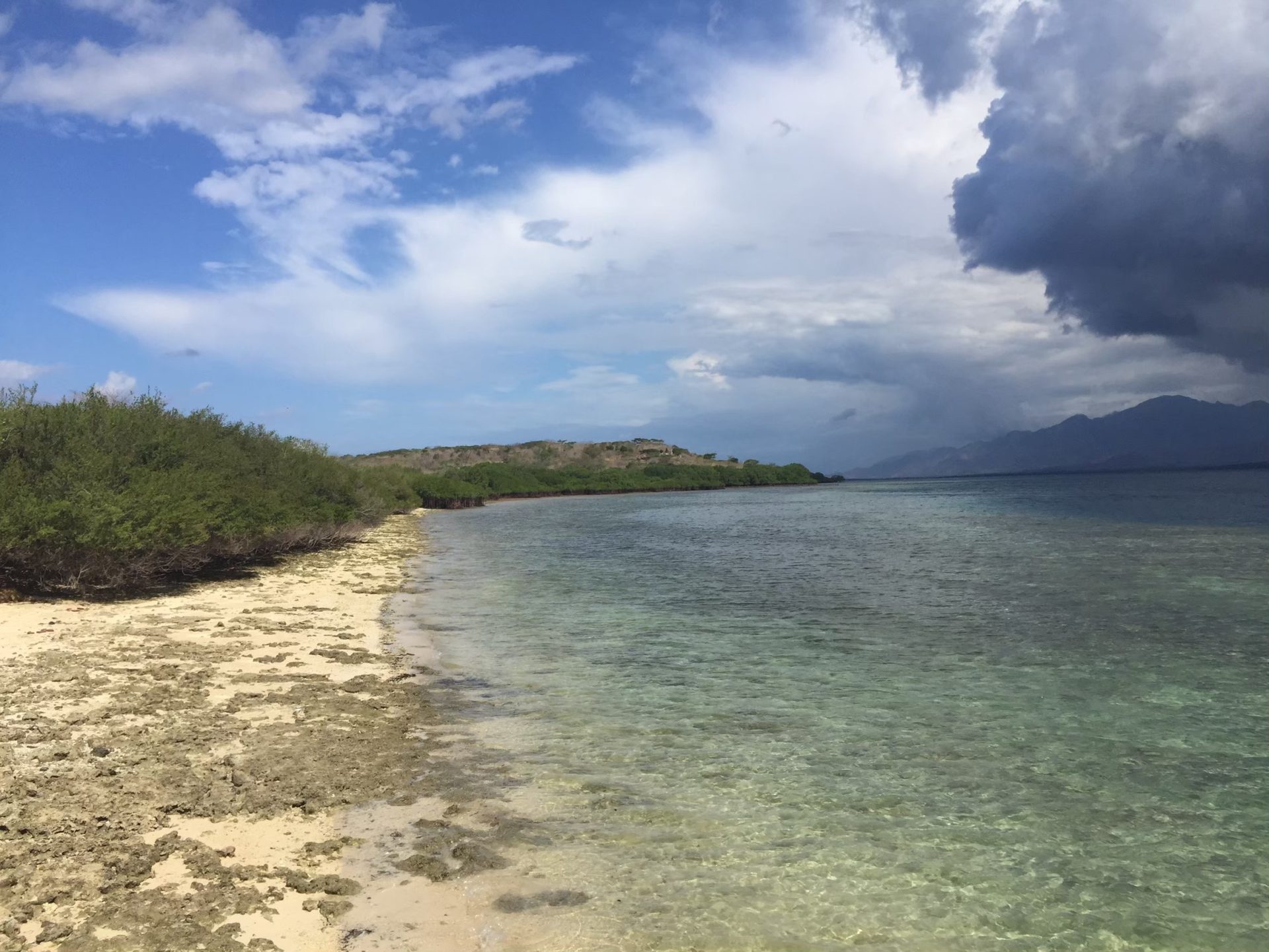 Pulau Menjangan