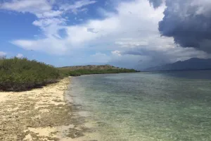 Pulau Menjangan