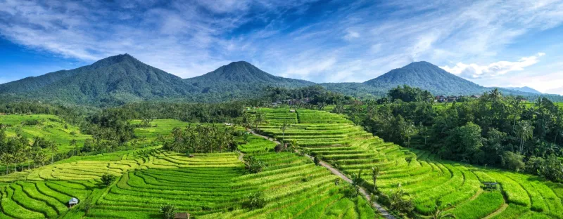 Jatiluwih