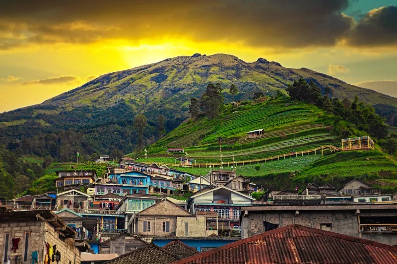 Nepal van Java