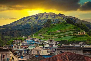 Nepal van Java