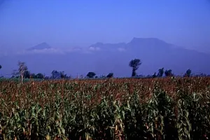 Mount Liman