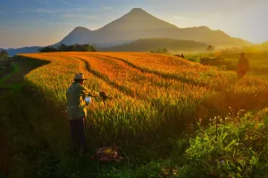 Mount Penanggungan