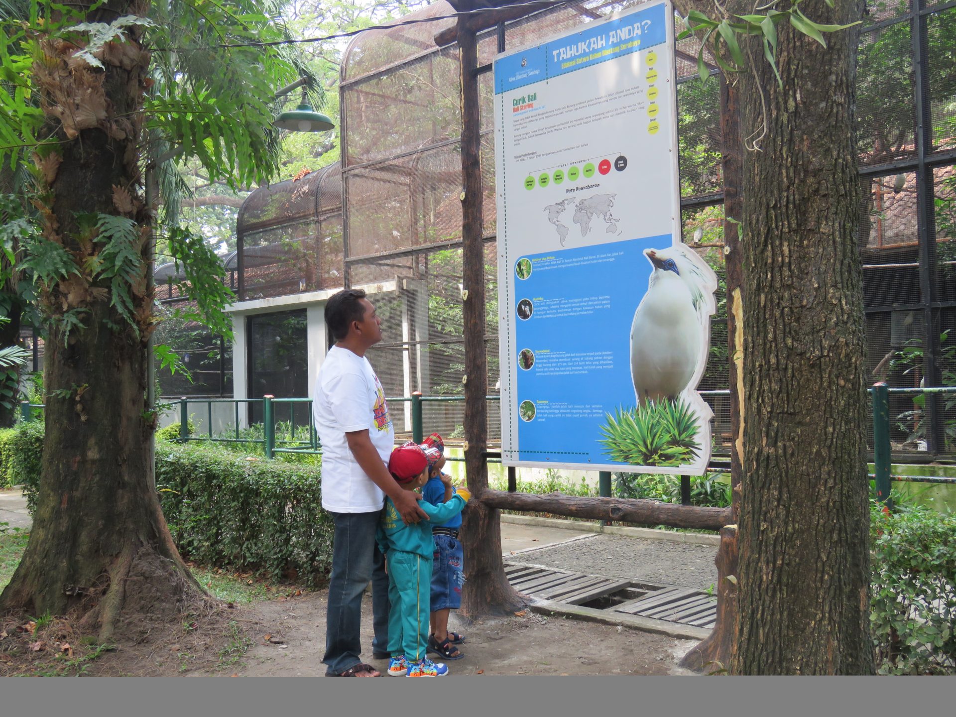 Surabaya Zoo