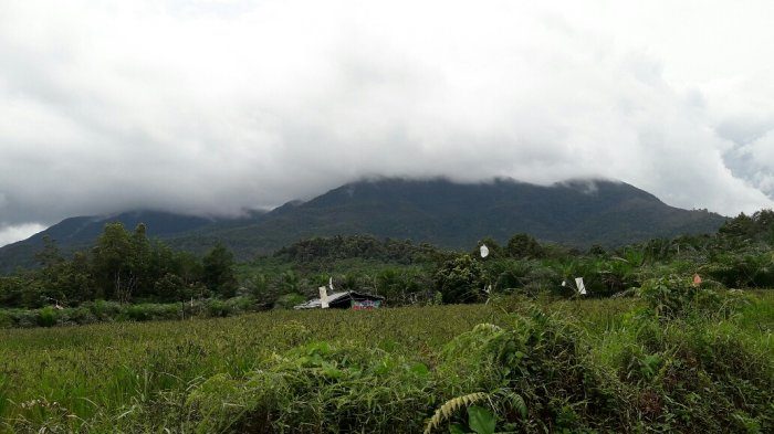 Gunung Maras