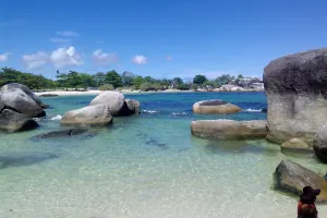 Pantai Tanjung Tinggi