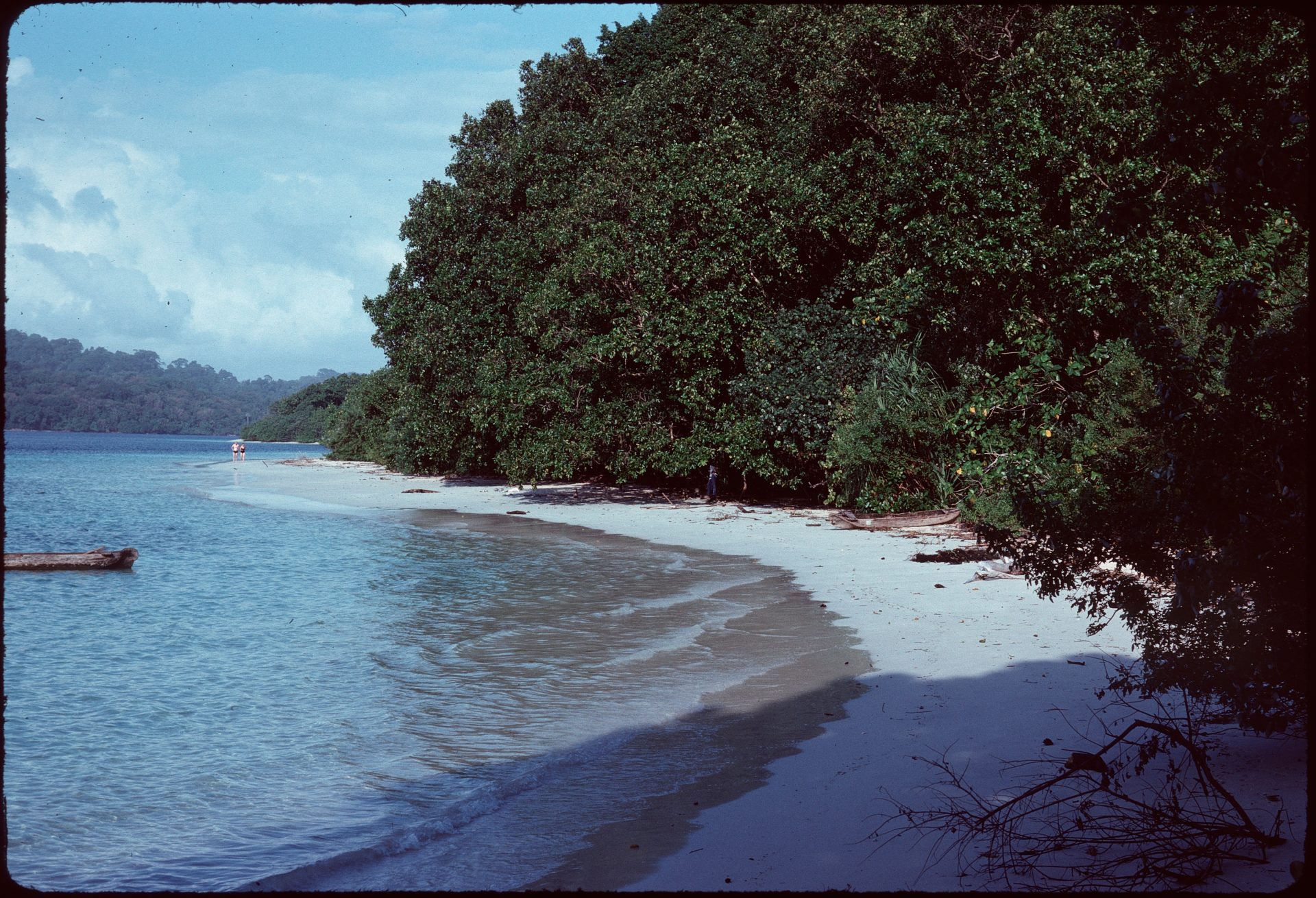Pulau Peucang