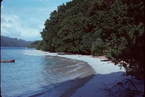 Pulau Peucang