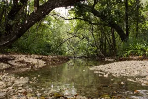 Taman Nasional Ujung Kulon