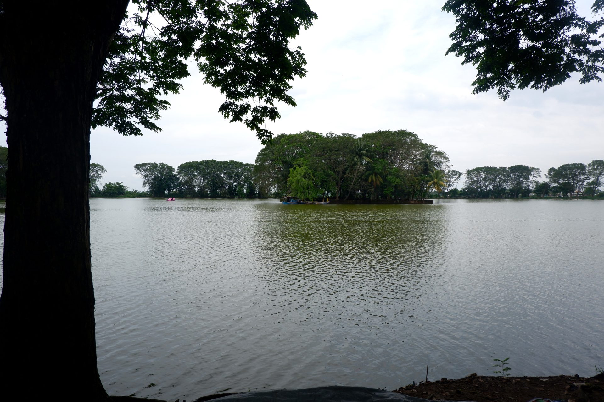 Danau Tasikardi