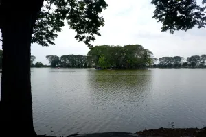 Danau Tasikardi