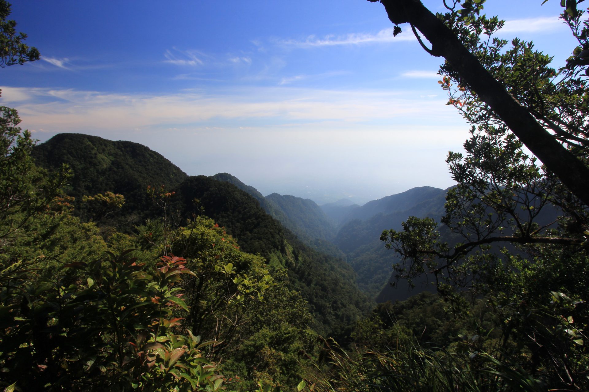 Gunung Halimun Utara