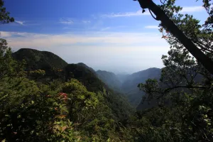 Gunung Halimun Utara