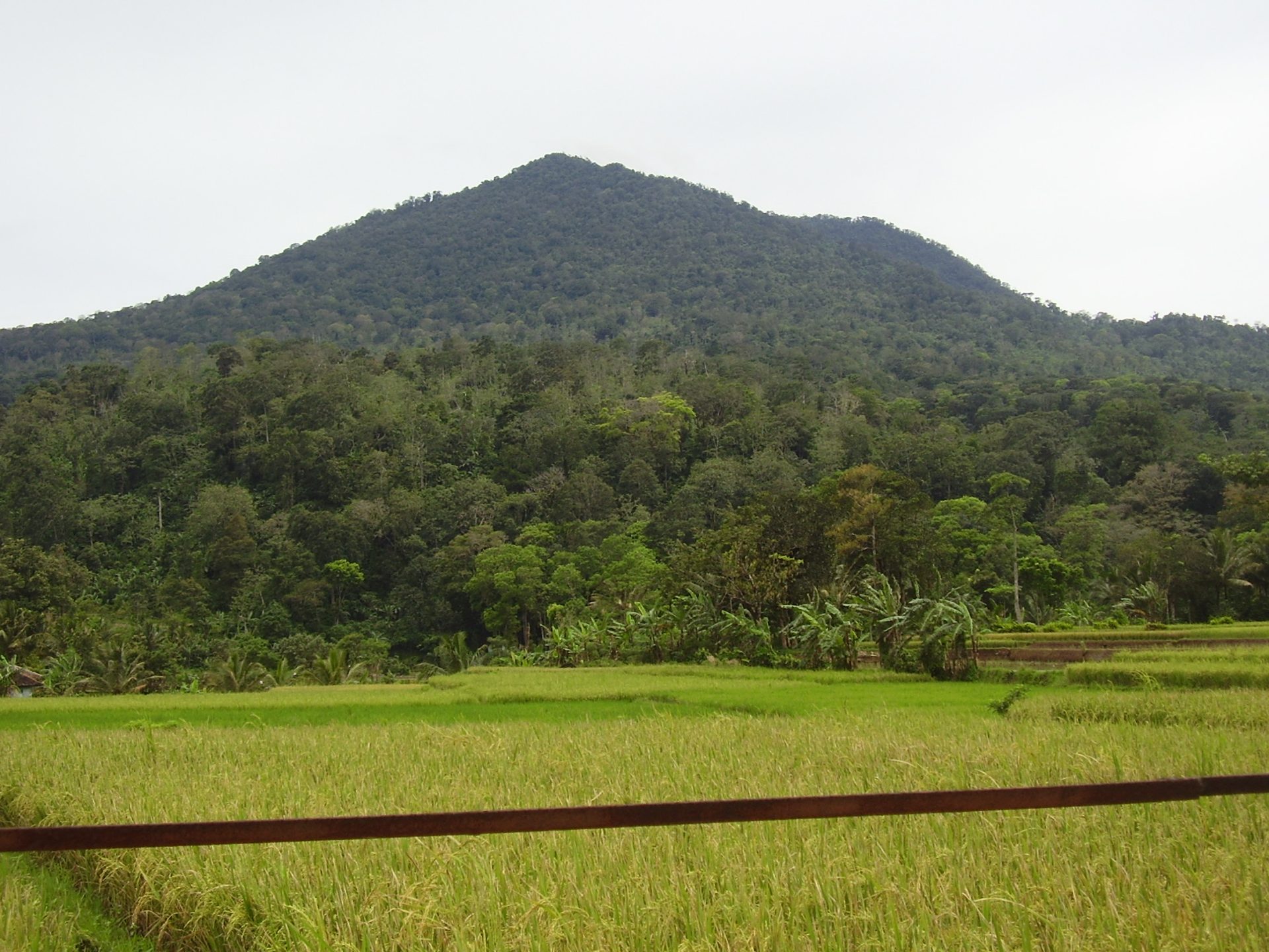 Gunung Pulosari