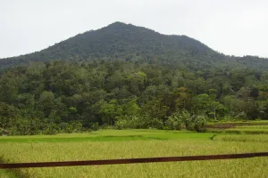 Gunung Pulosari