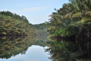 Taman Nasional Berbak