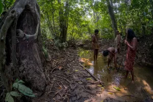 Taman Nasional Bukit Duabelas