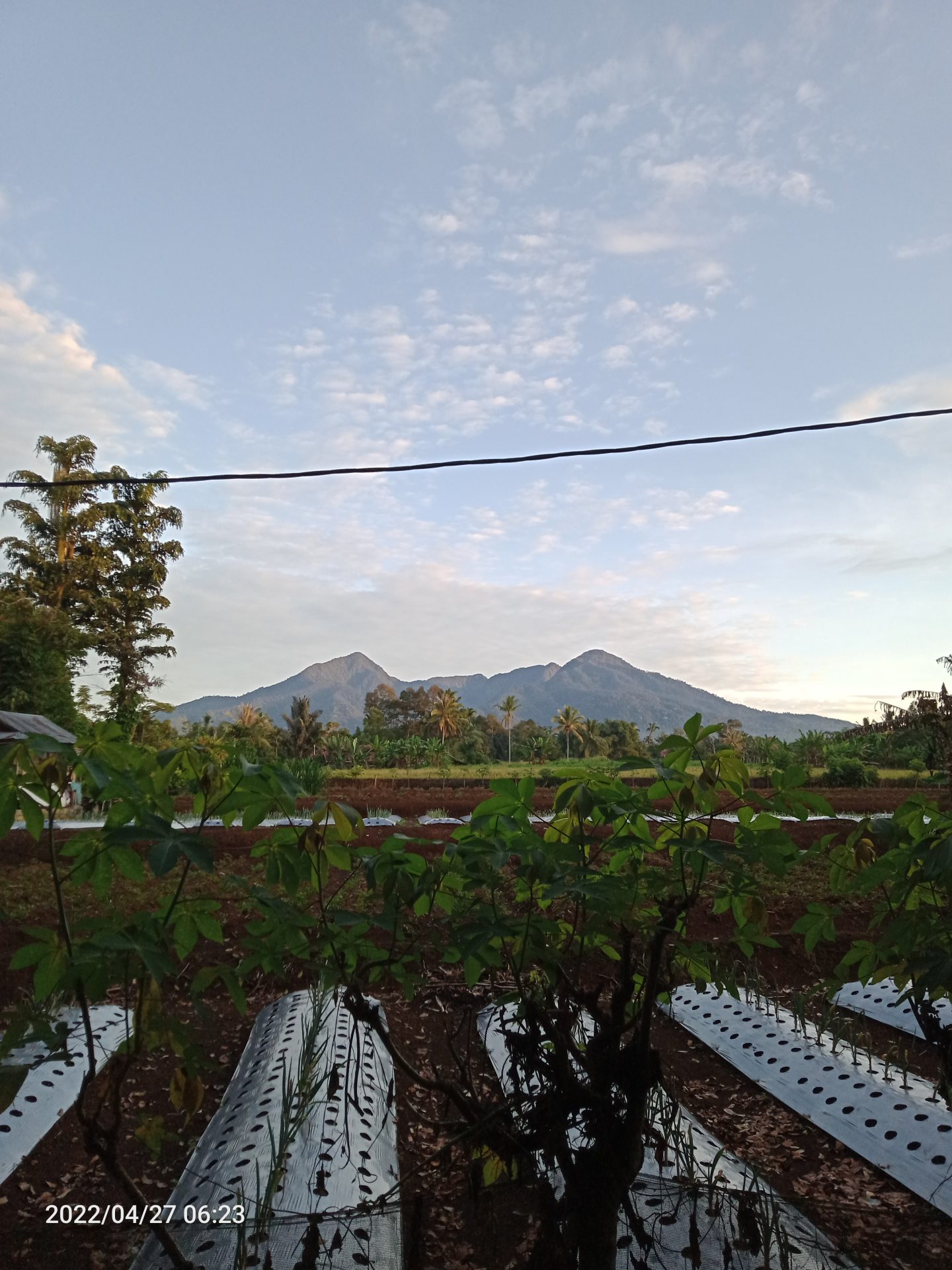 Gunung Sago