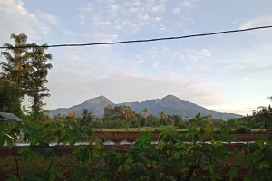 Gunung Sago