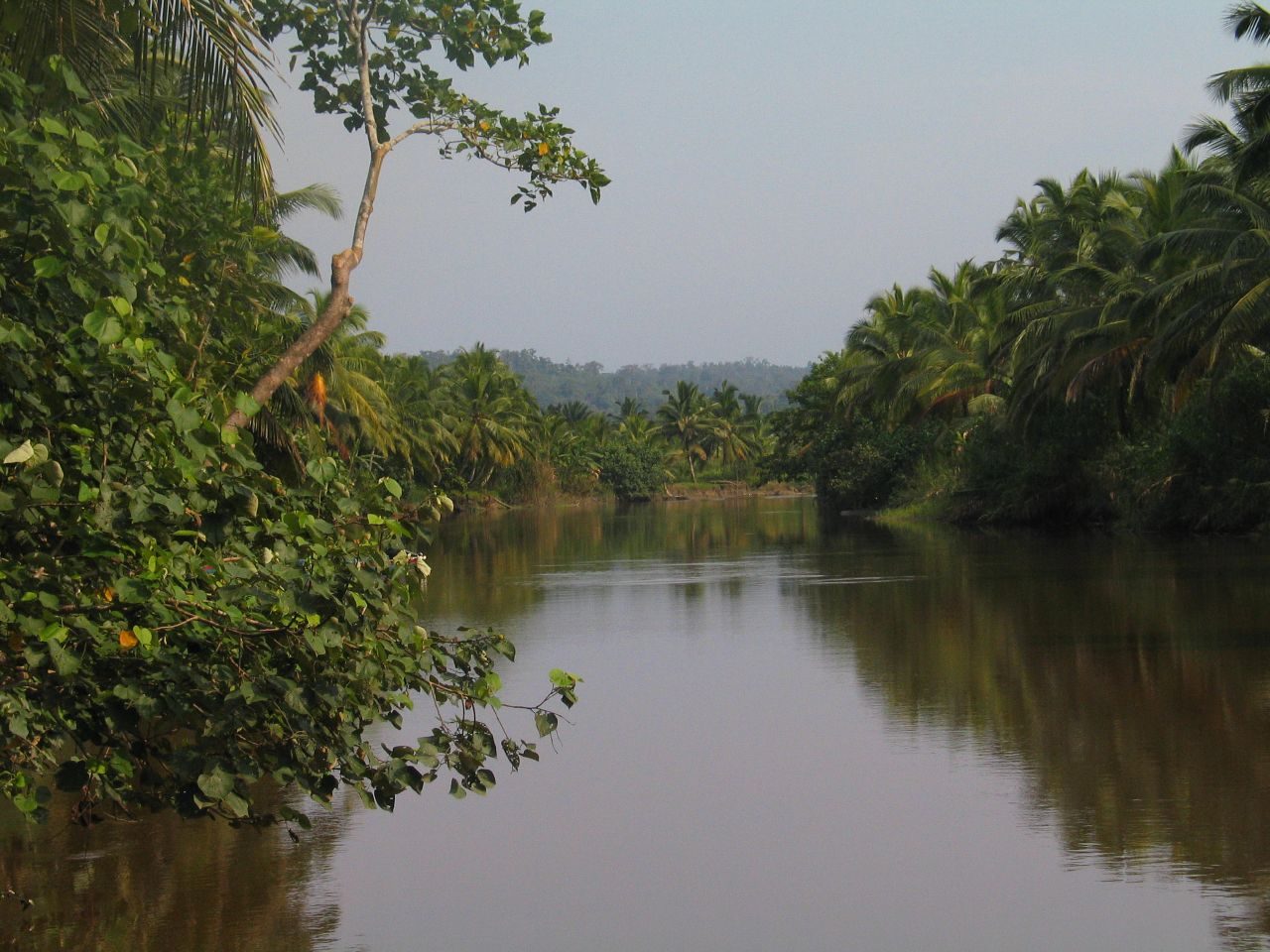 Taman Nasional Siberut