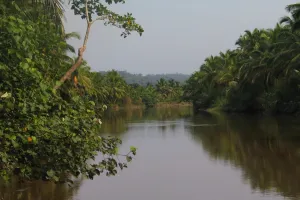 Taman Nasional Siberut
