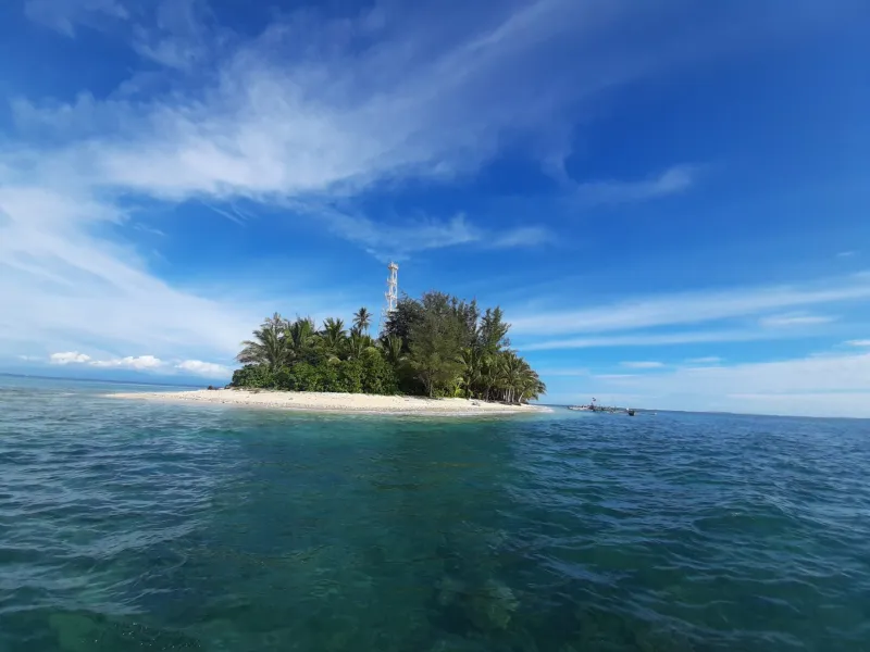 Pulau Tikus