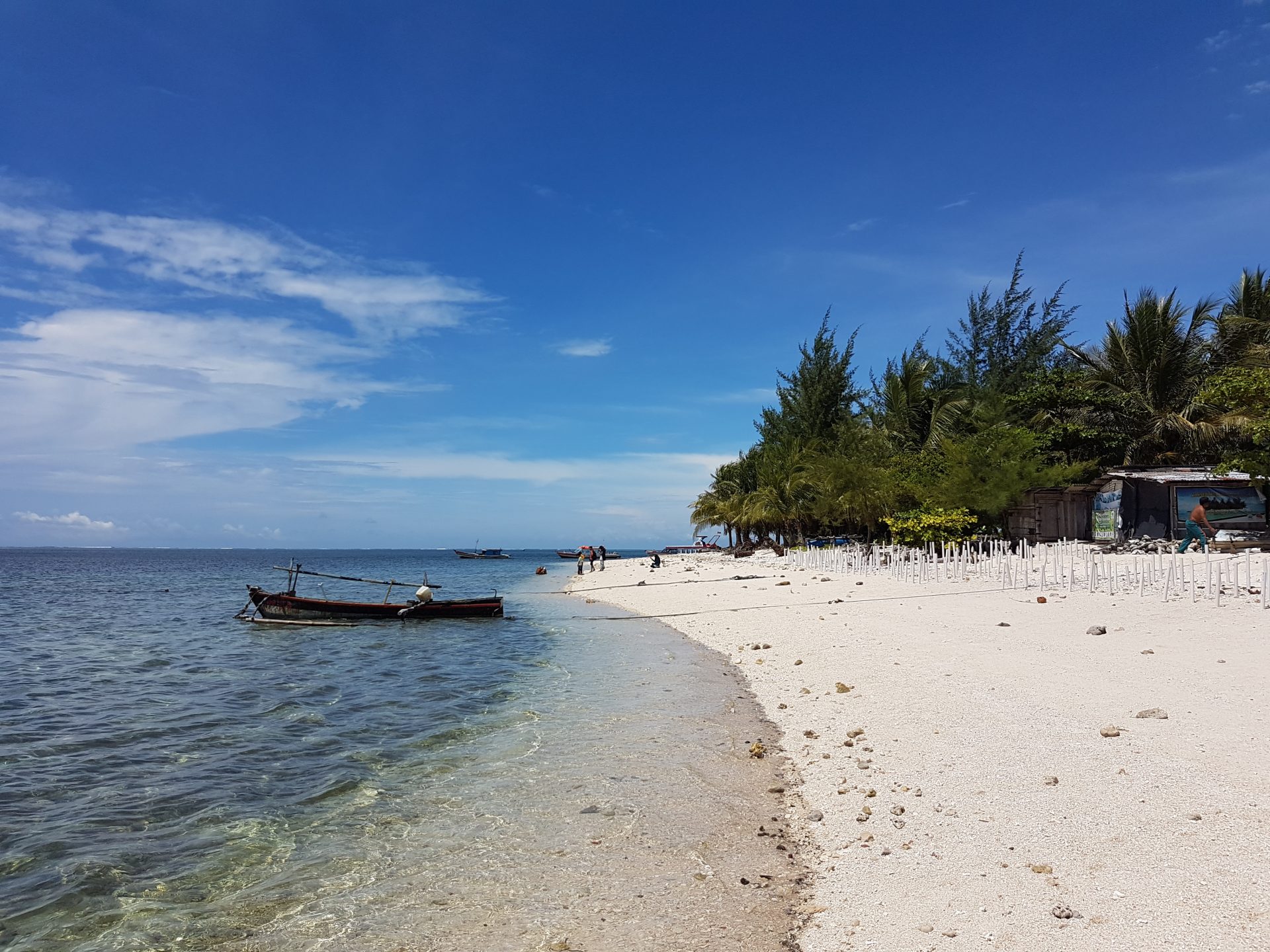 Pulau Tikus