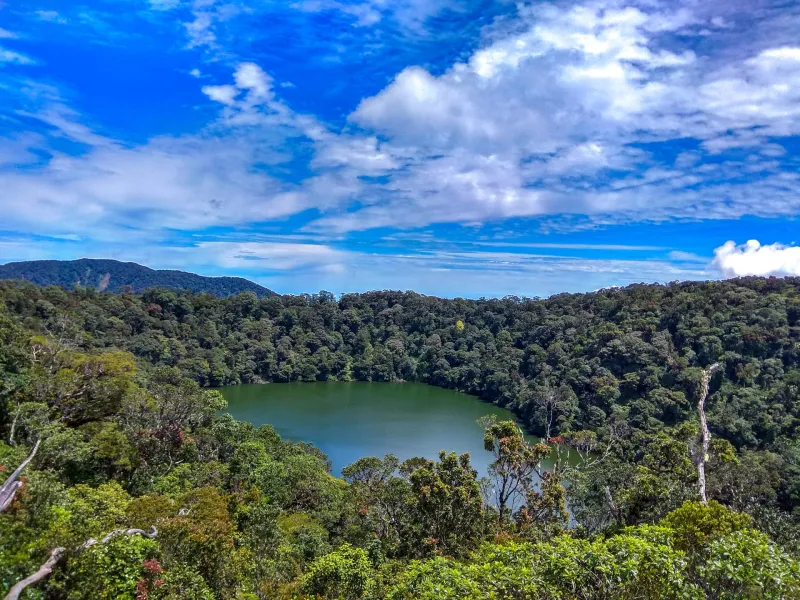 Bukit Daun