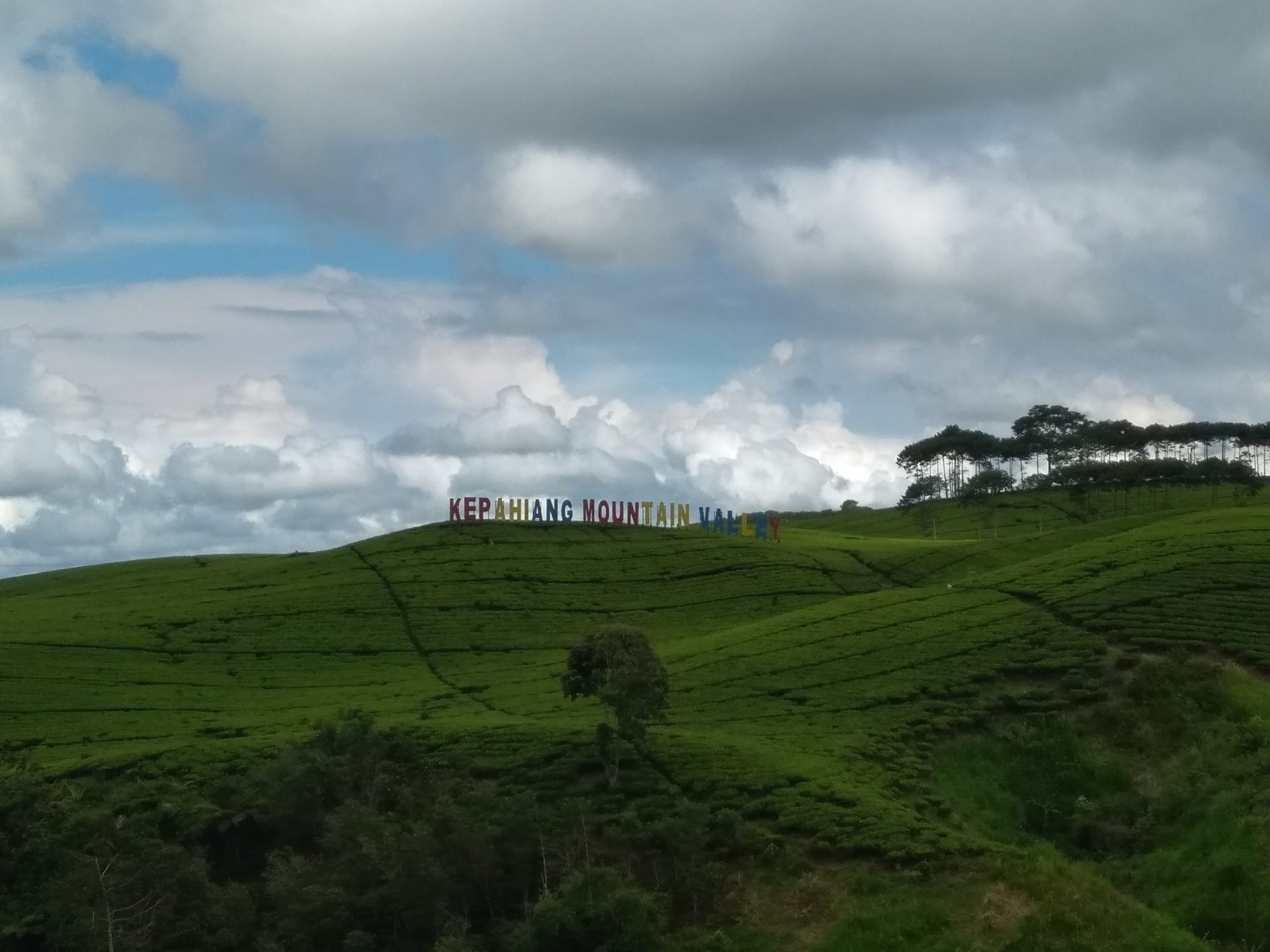 Kebun Teh Kabawetan