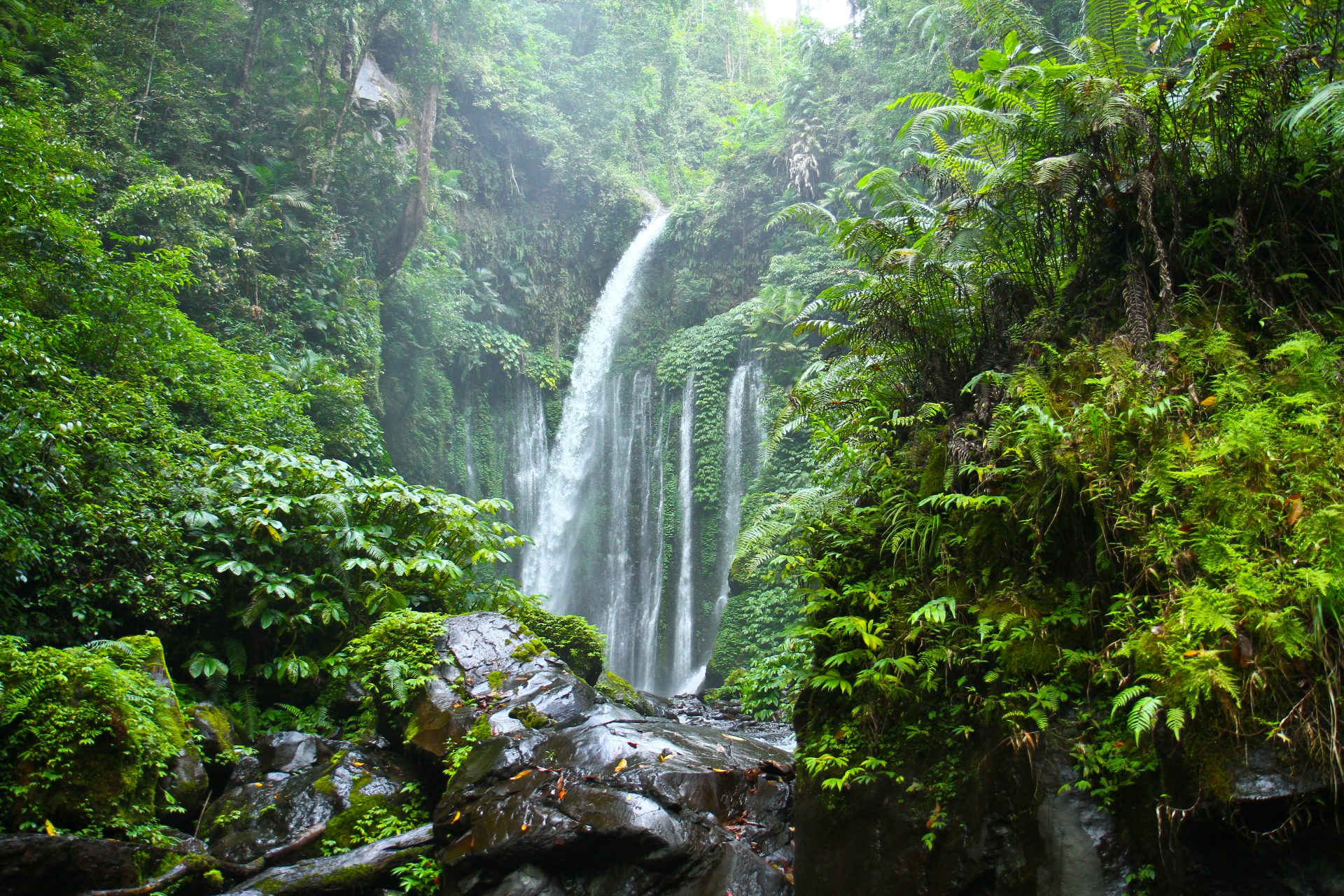 Air Terjun Tiu Kelep