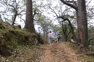 Gunung Mutis