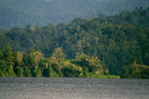 Taman Nasional Lore Lindu