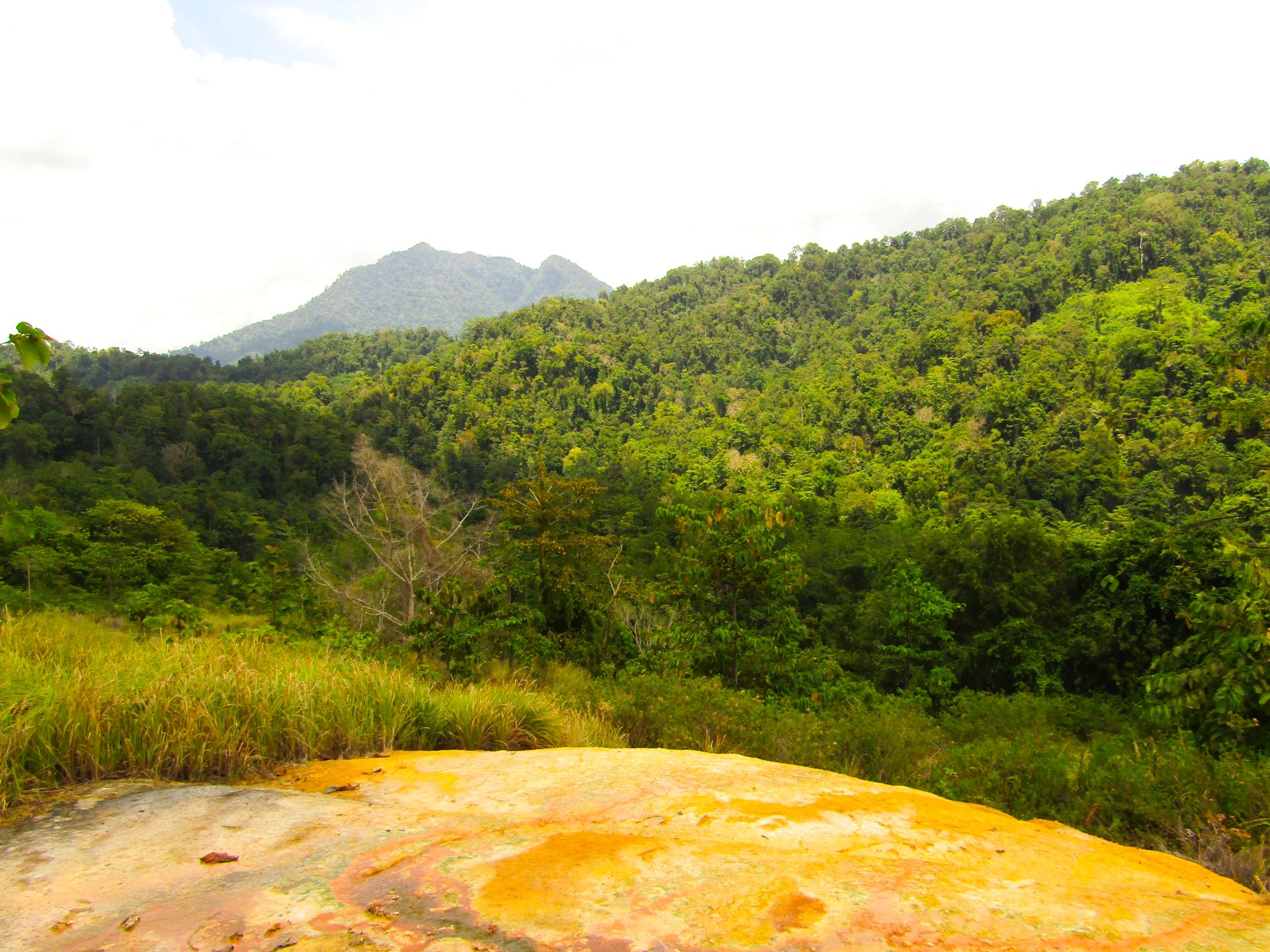 Taman Nasional Bogani Nani Wartabone