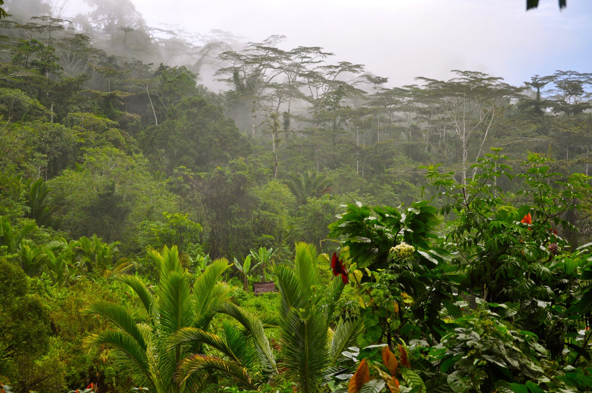 Taman Nasional Manusela
