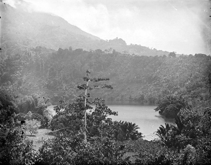 Danau Tolire
