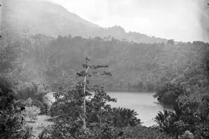 Danau Tolire