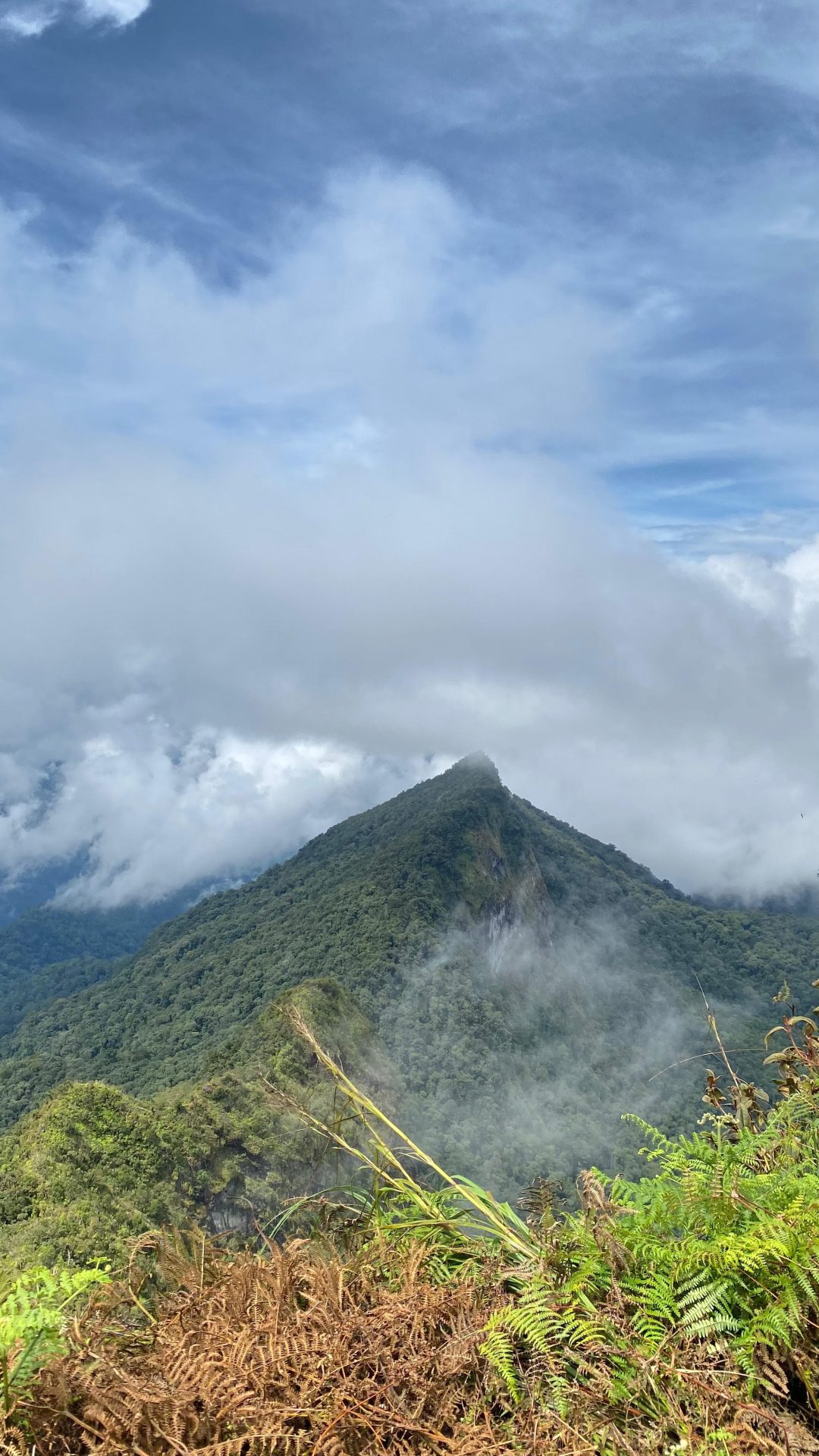 Gunung Halau-halau