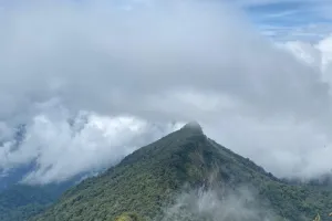 Gunung Halau-halau