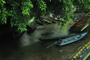 Taman Nasional Kayan Mentarang
