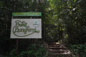 Bukit Bangkirai